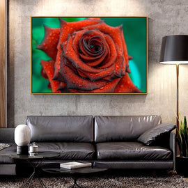 Red Rose Canvas