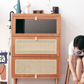 Solid Wood Living Room Cabinet
